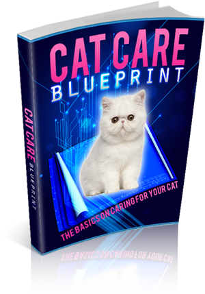Cat Care Blueprint