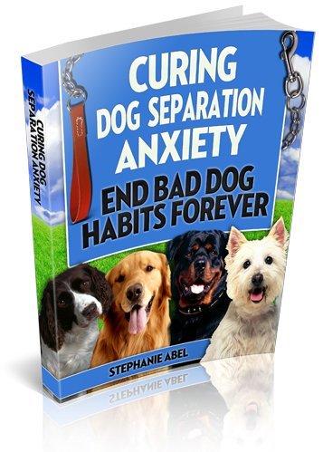 Curing Dog Separation Anxiety - Brandable