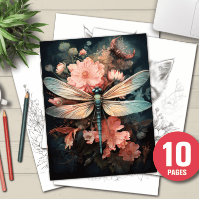 Dragon flies